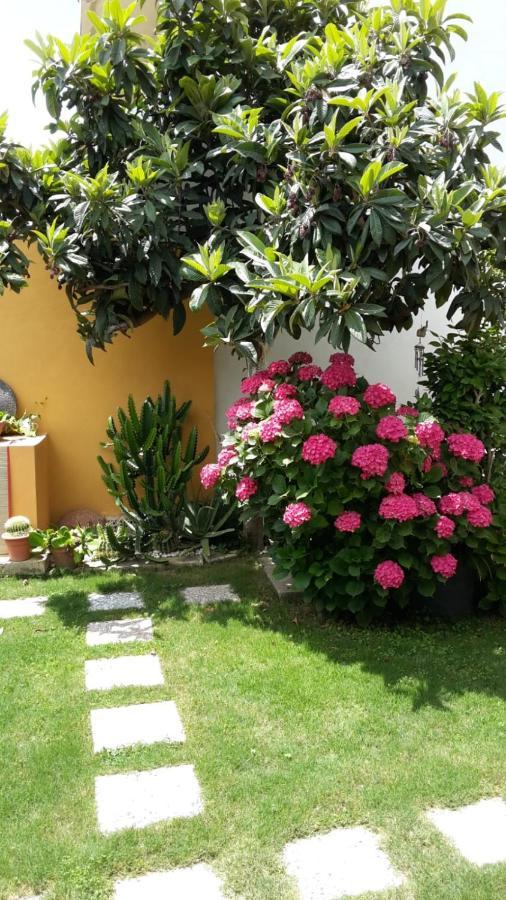 Appartamenti San Vito ซาน วิโต ภายนอก รูปภาพ